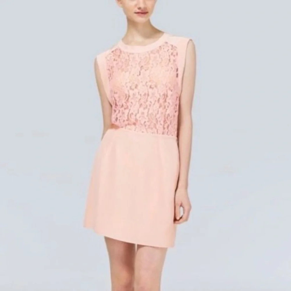 Wilfred Blush Pink Lace Bodice Mini Dress